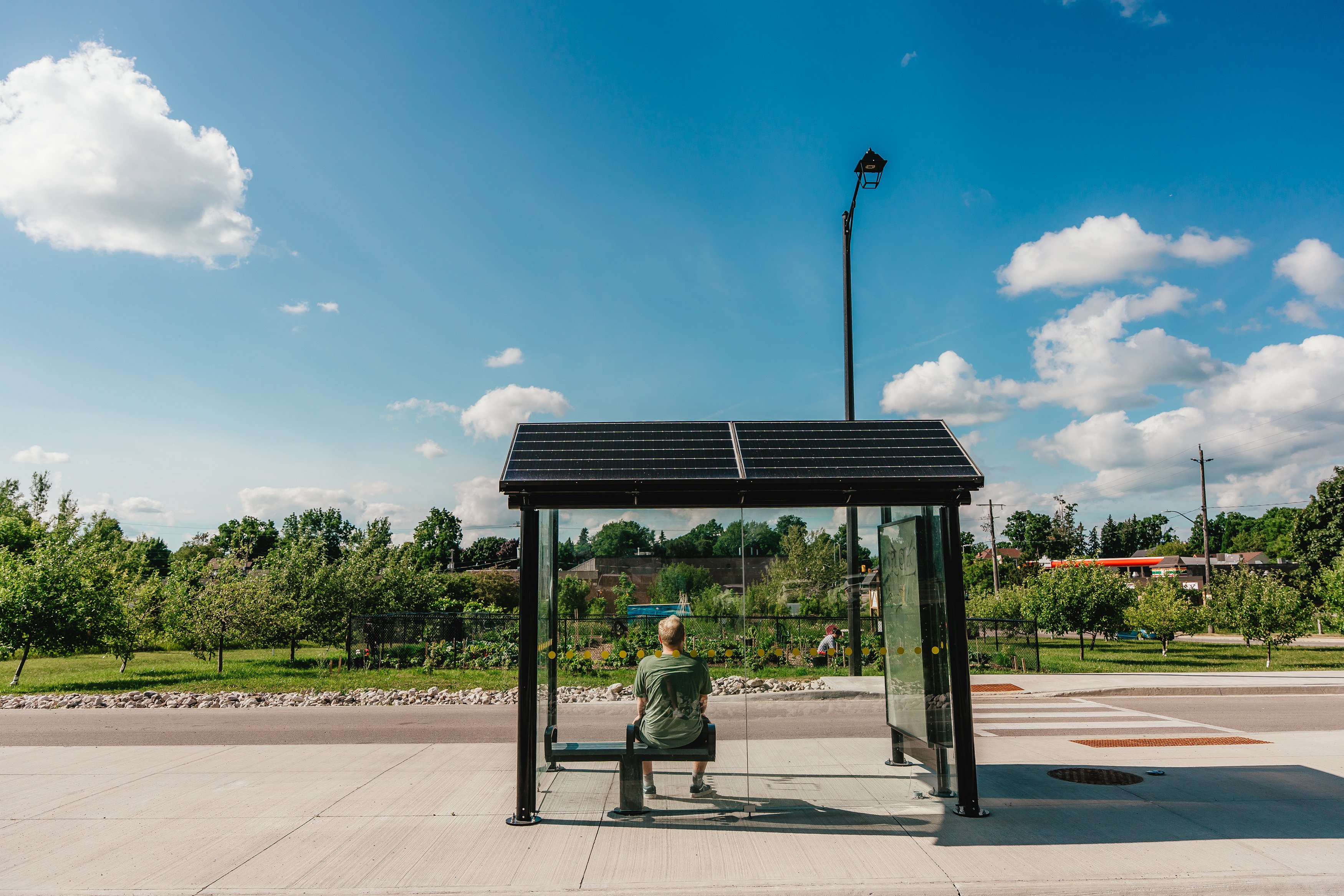 A person waiting at a transit shelter for a bus.
